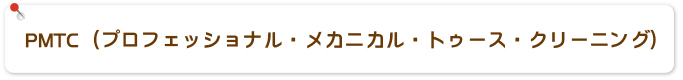 PMTC（プロフェッショナル・メカニカル・トゥース・クリーニング）